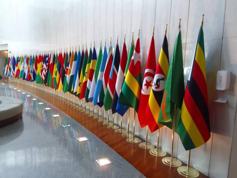 Working With Governments & Public Institutions